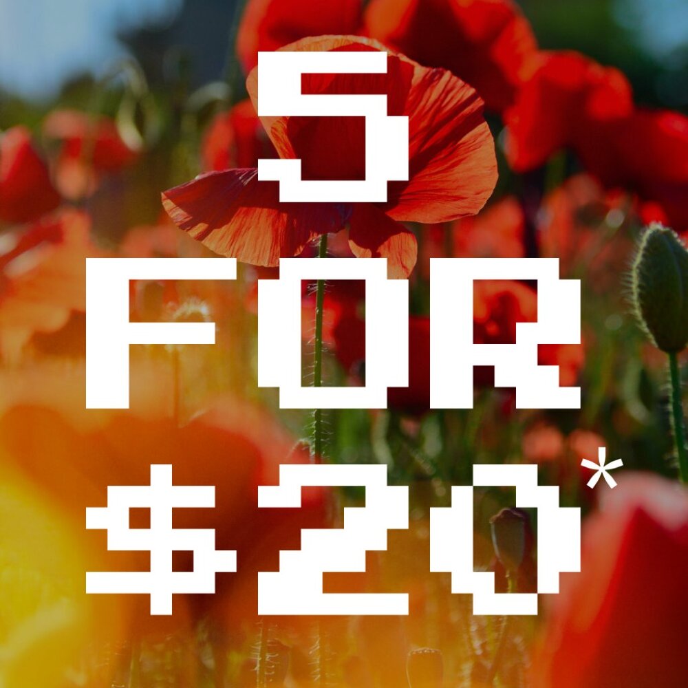 5 for $20 Bundles